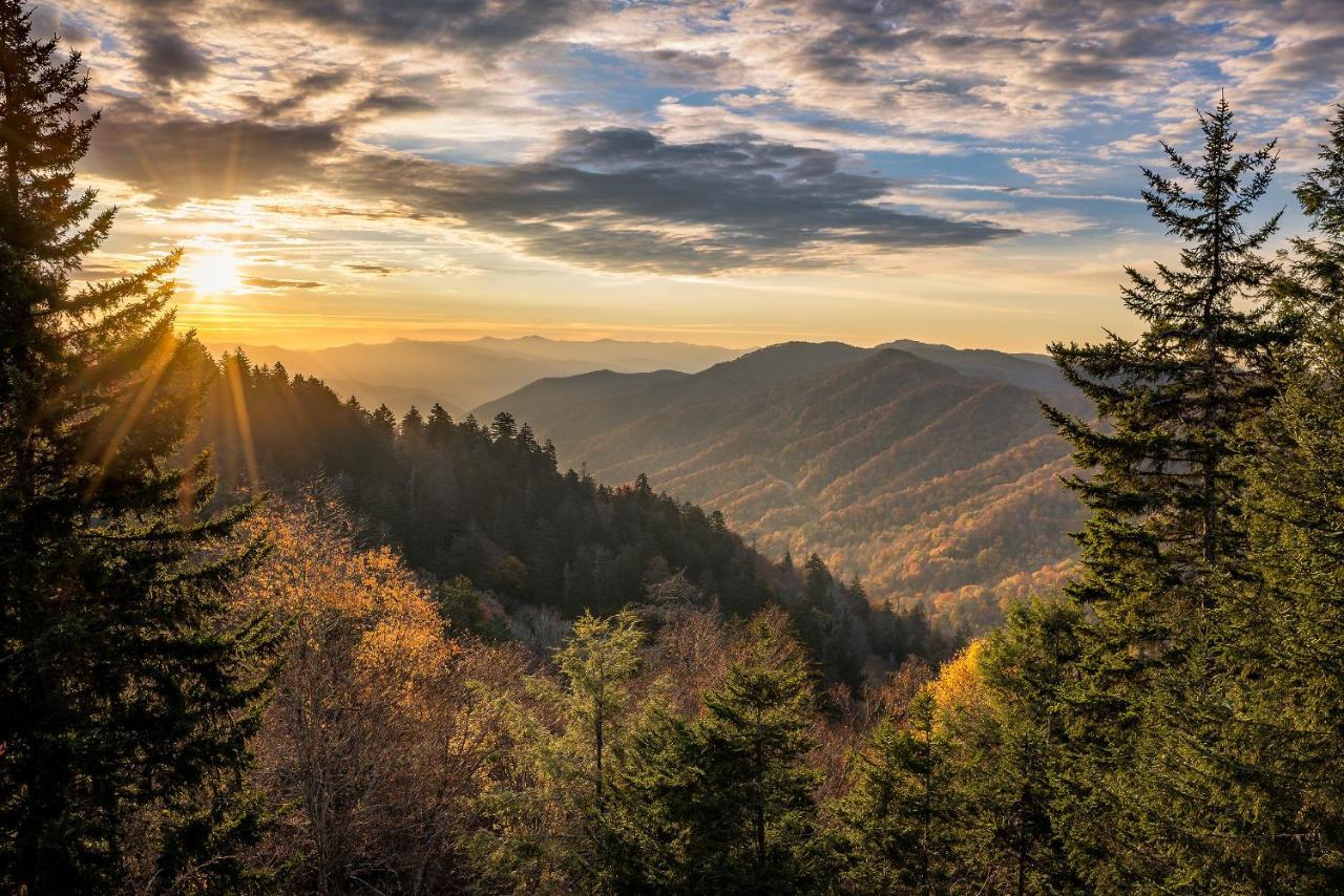 Апартаменти Star Gazing Whispering Pines 644 Піджен-Фордж Екстер'єр фото